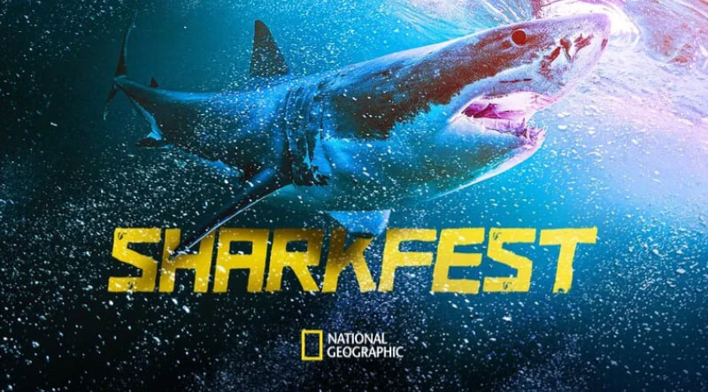 Плавайте с акулами в новой дополненной реальности от Nat Geo